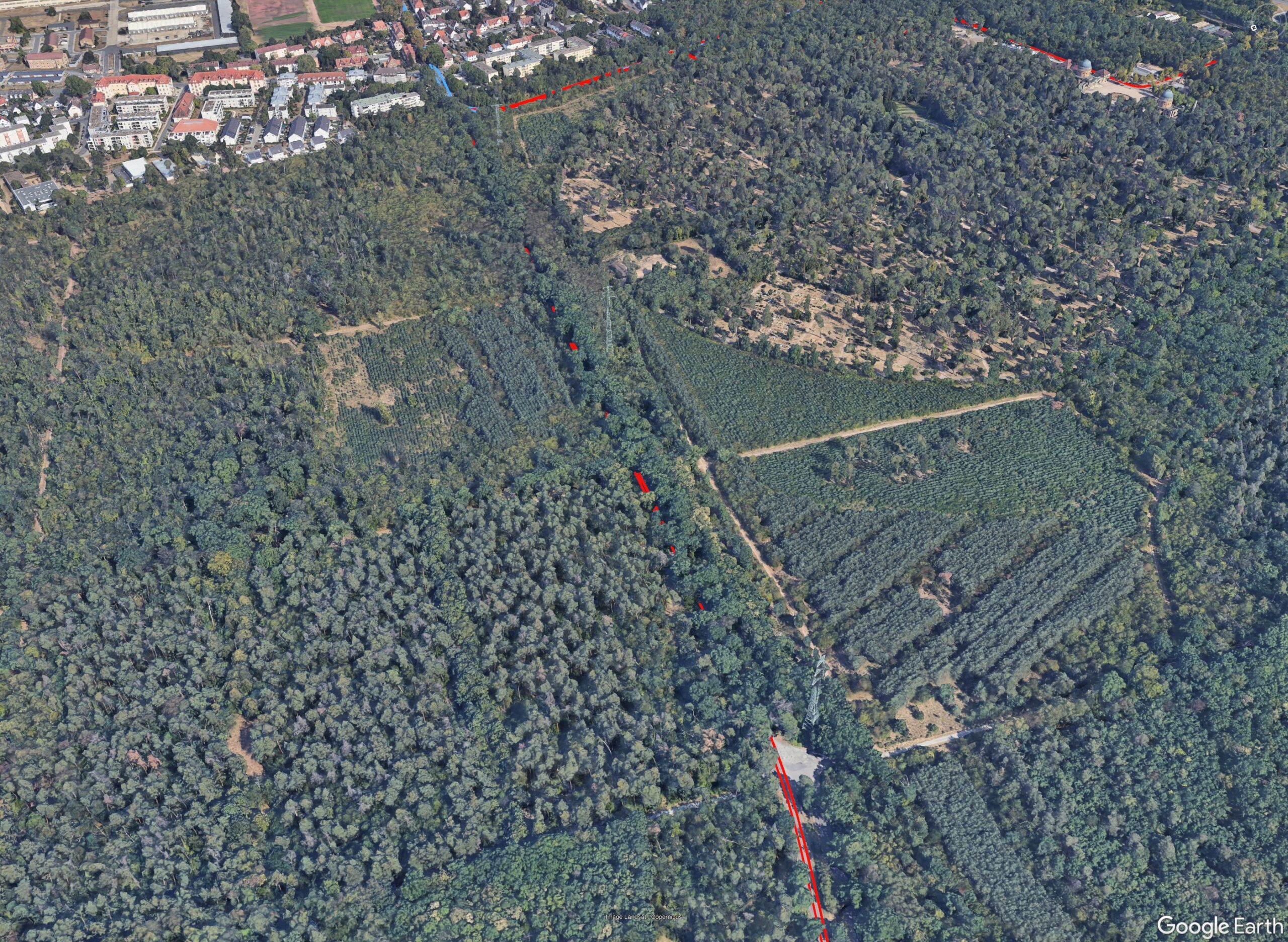 GNSS signal attenuation under deciduous trees