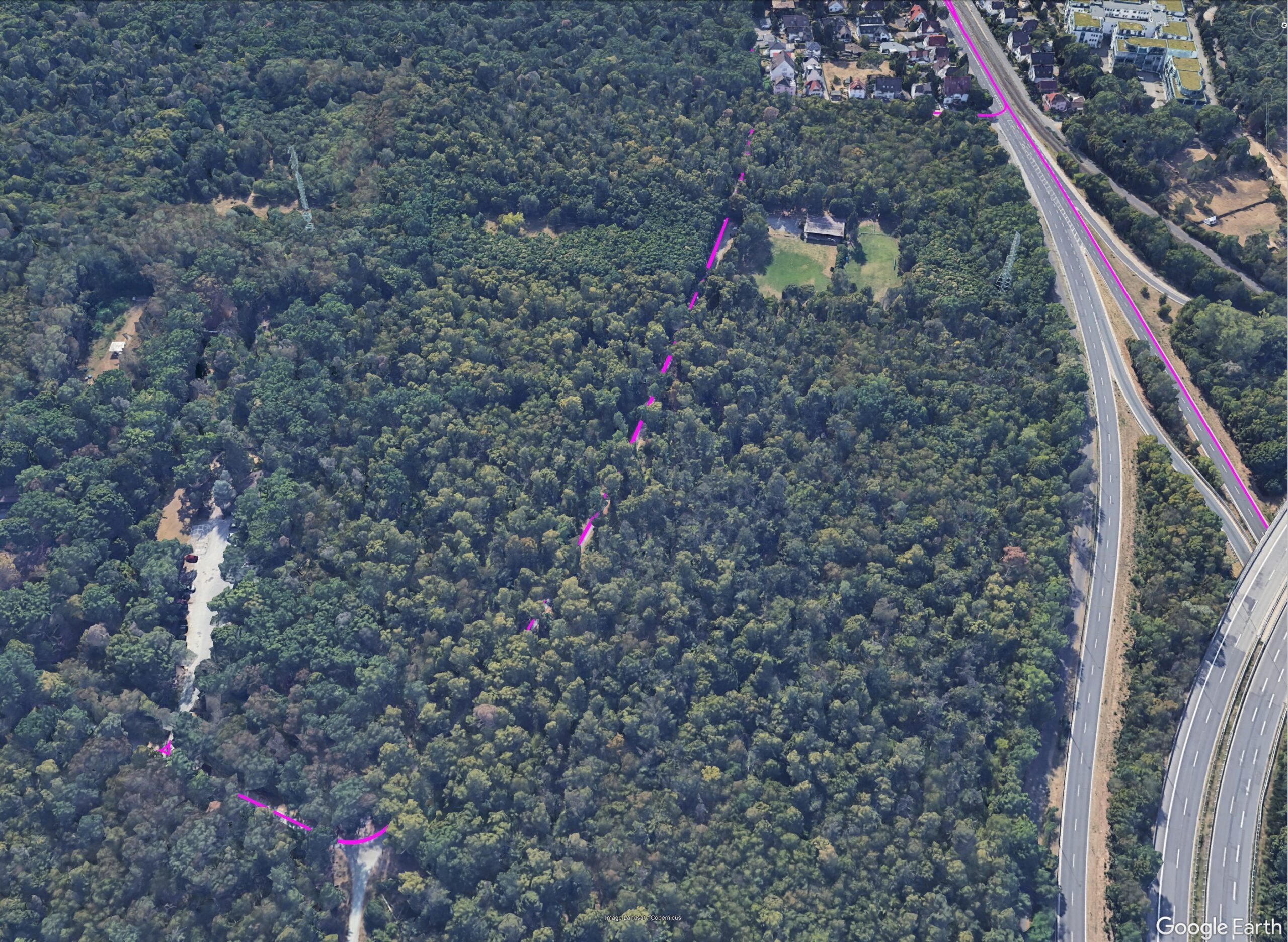 Vehicle driving through mixed forest during positioning test